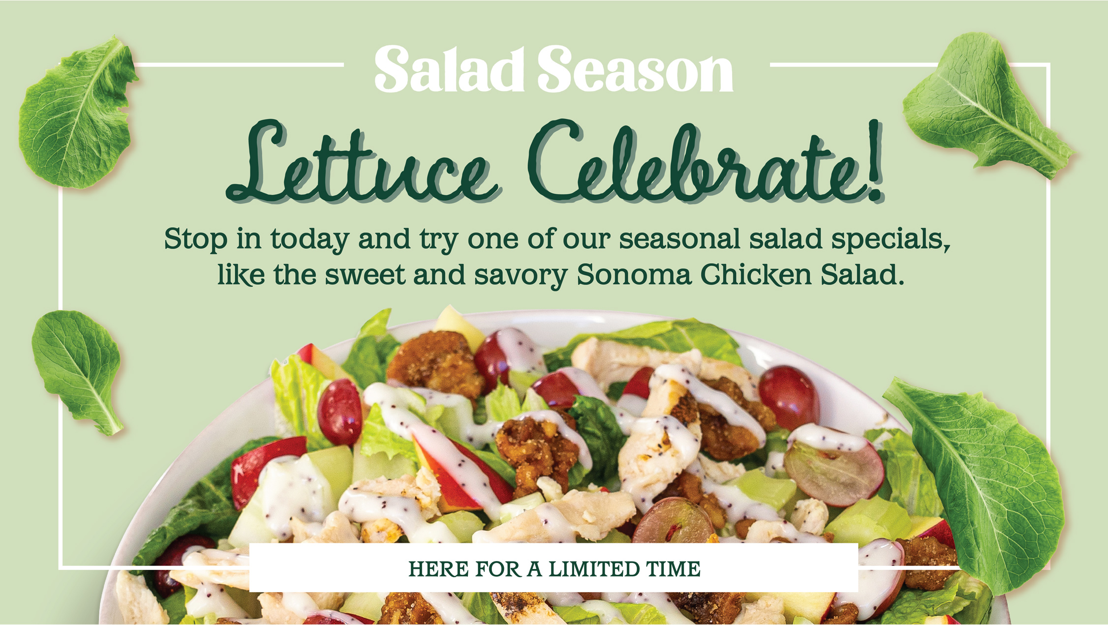 Salad Season is Back