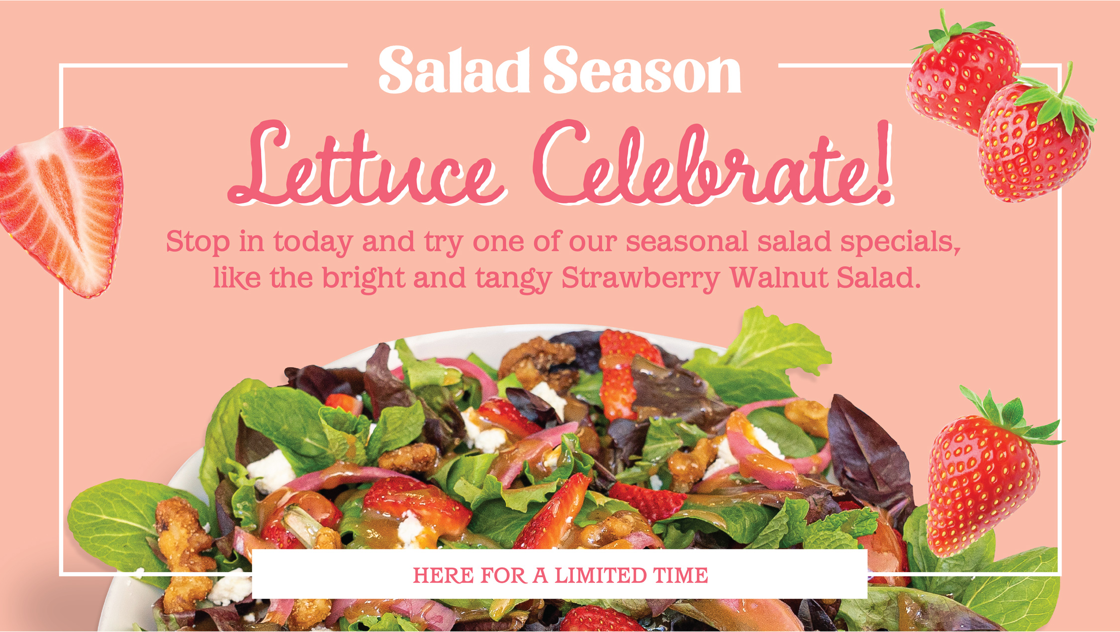 Salad Season is Back!